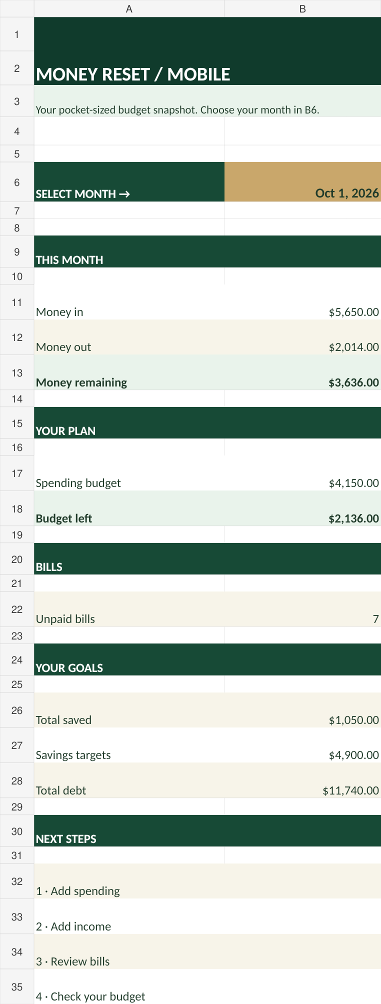 Money Reset phone-friendly companion dashboard preview with fictional demonstration numbers